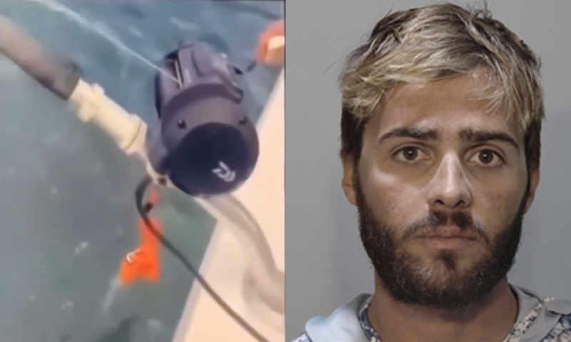Capitão de barco na Flórida é preso após viralizar em vídeo esfaqueando tubarão; veja