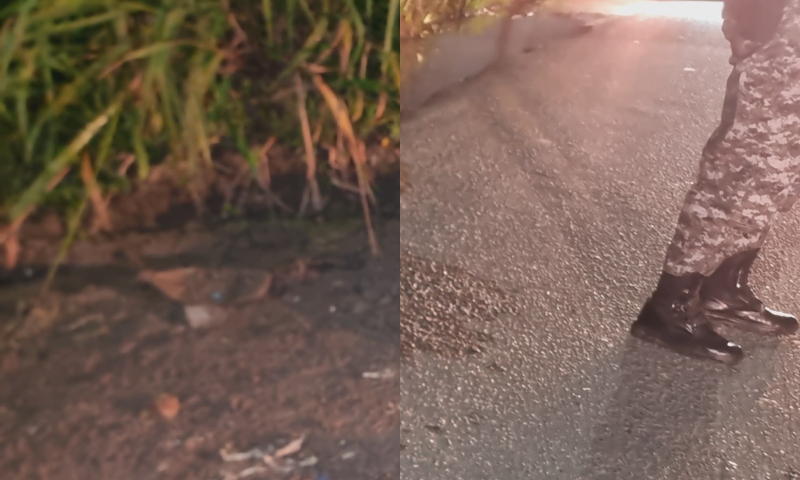 Esquartejamento em Manaus: vídeos chocantes expõem a violência desenfreada causada pela guerra de facções