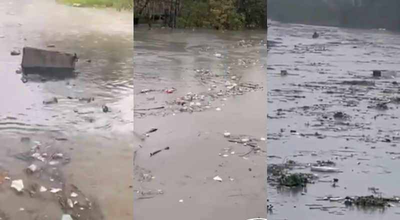 Igarapés de Manaus viram depósito de lixo e expõem falta de consciência ambiental da população; veja vídeo