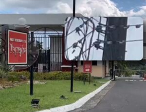 Urgente: eletricista morre eletrocutado em poste no Condomínio Residencial Tapajós, em Manaus; veja