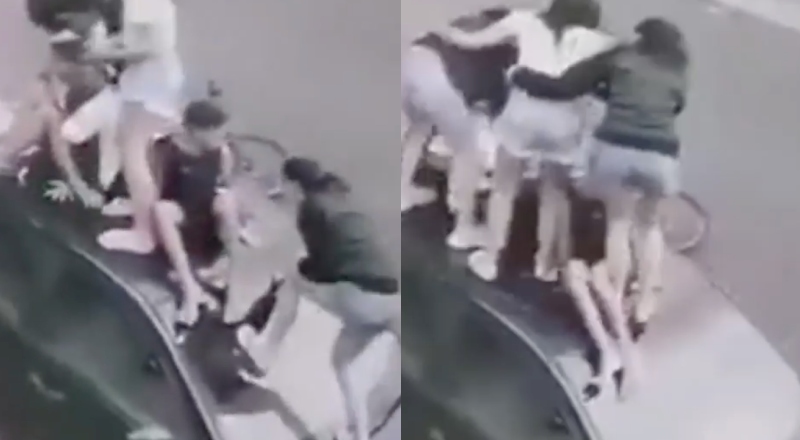 Desesperador: vídeo mostra momento em que crianças sobem em carro para fugirem de ataque de pitbull; veja