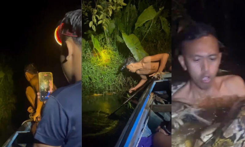 Jovem é atacado por cobra gigante após cair de canoa durante pescaria na madrugada; veja vídeo