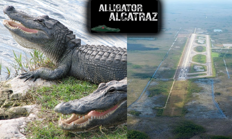 Flórida propõe “Alcatraz dos Jacarés” como centro de detenção para imigrantes ilegais; veja vídeo