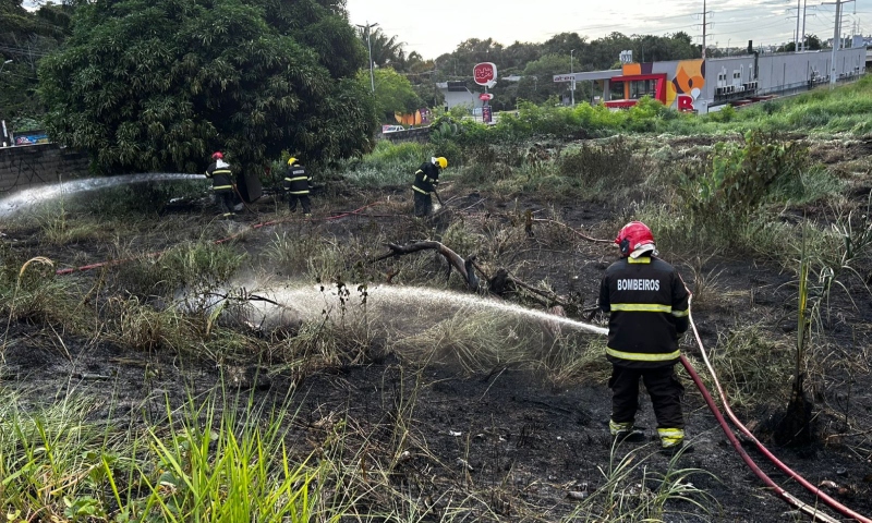 Bombeiros são acionados para conter incêndio em área de mata na Avenida das Torres; veja vídeo