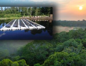 Energia limpa sob nuvens: clima amazônico não é obstáculo para expansão da energia solar no Amazonas