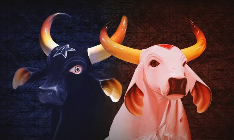 Confira a ordem de apresentação dos Bumbás no Festival de Parintins 2025