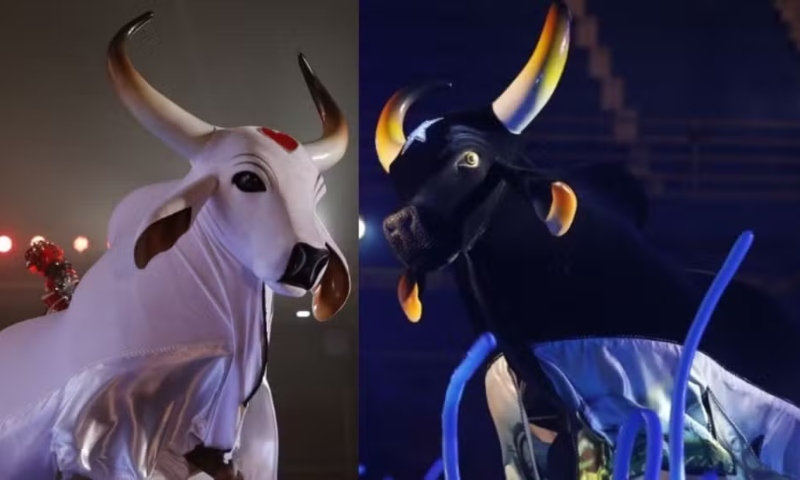 Ancestralidade e Raiz Popular:  saiba o que Caprichoso e Garantido preparam para a 2ª Noite do Festival