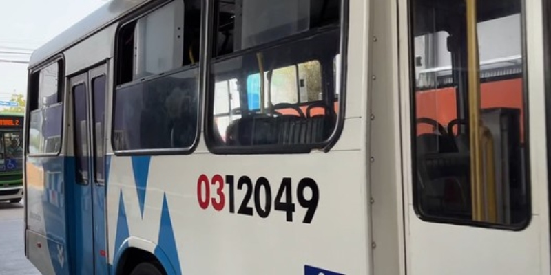 Mulher que lutava pela vida após ser atropelada por ônibus na Compensa, morre em hospital