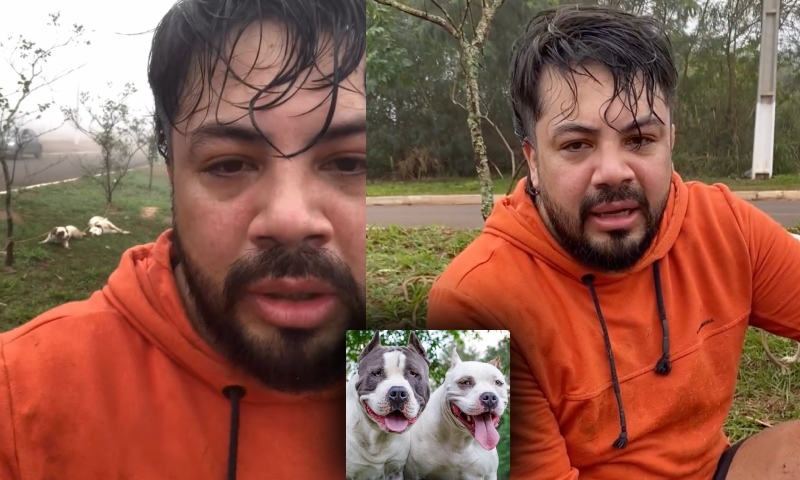 Lutador de Muay Thai é atacado por dois pitbulls e usa técnica para imobilizar cães; veja vídeo