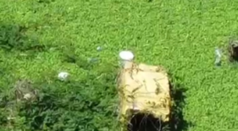 Urgente: corpo é encontrado boiando em comunidade no Centro de Manaus; veja vídeo