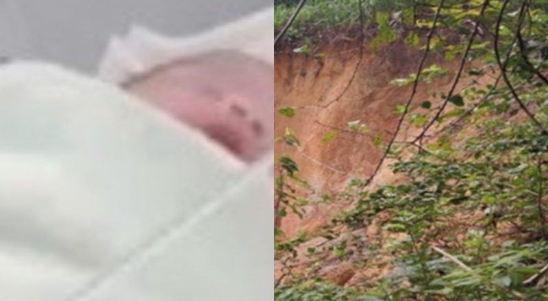 Mãe que jogou bebê recém-nascido pela janela em Manaus responderá por tentativa de infanticídio