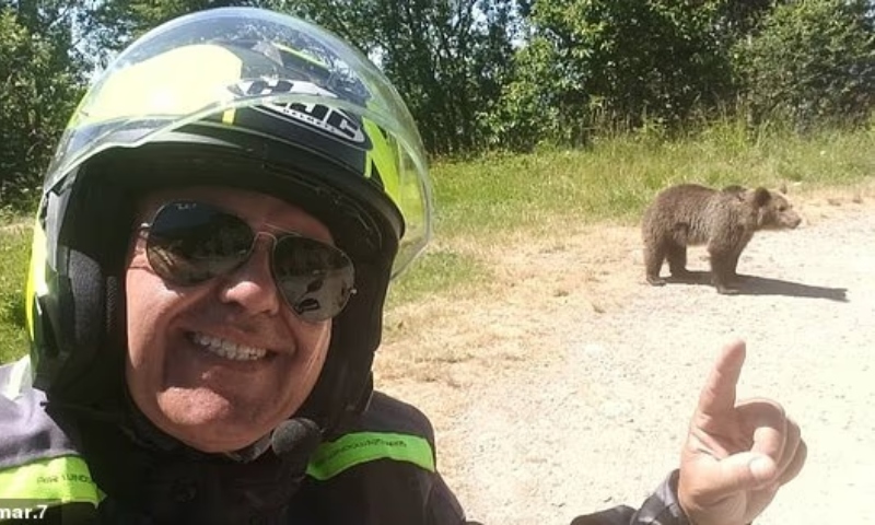 “A última foto”: motociclista estaciona para tirar selfie com urso e o pior acontece; veja vídeo