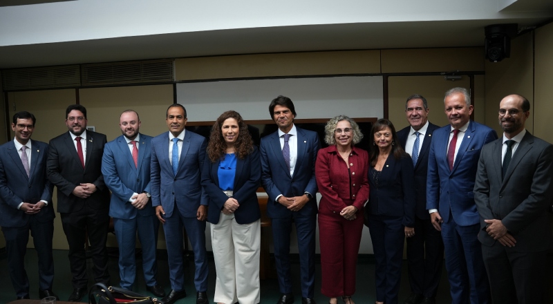 Grupo de trabalho debate Reforma Administrativa com ministra da Gestão