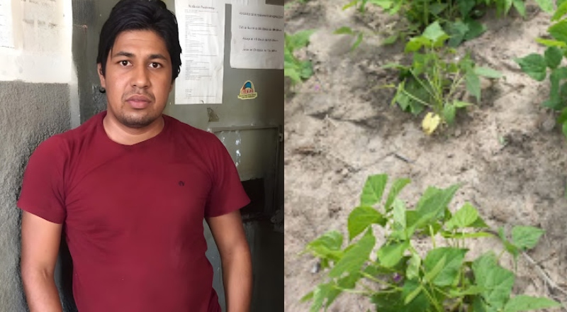 “Caixão lacrado”: homem é executado com tiros de espingarda em matagal; veja vídeo