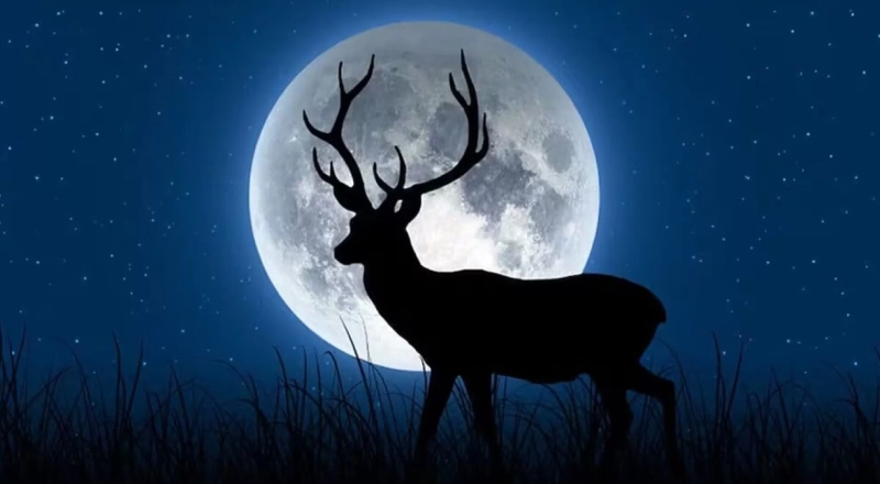 “Lua Cheia do Veado”: espetáculo lunar poderá ser visto em todo o Brasil nesta quinta-feira (10)