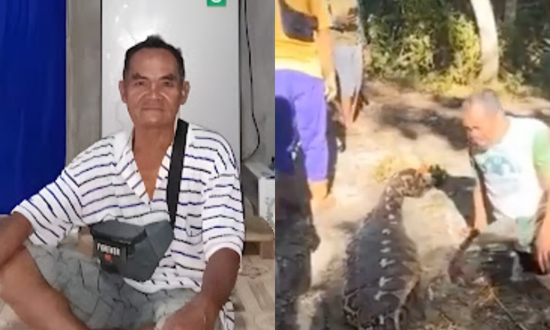 Chocante: veja momento em que populares abrem cobra e encontram corpo de idoso desaparecido