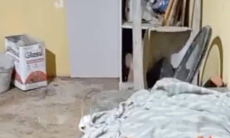 “Os anjinhos estão dormindo agora”: cinco integrantes de facção morrem durante confronto com a polícia; veja vídeo