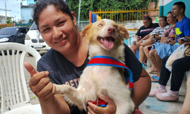 Prefeitura promove ação de castração no bairro São José Operário; saiba mais