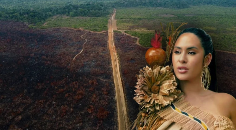 “Marina Silva versão Baré”: Isabelle Nogueira é criticada após se posicionar contra PL que destrava BR-319; veja vídeo