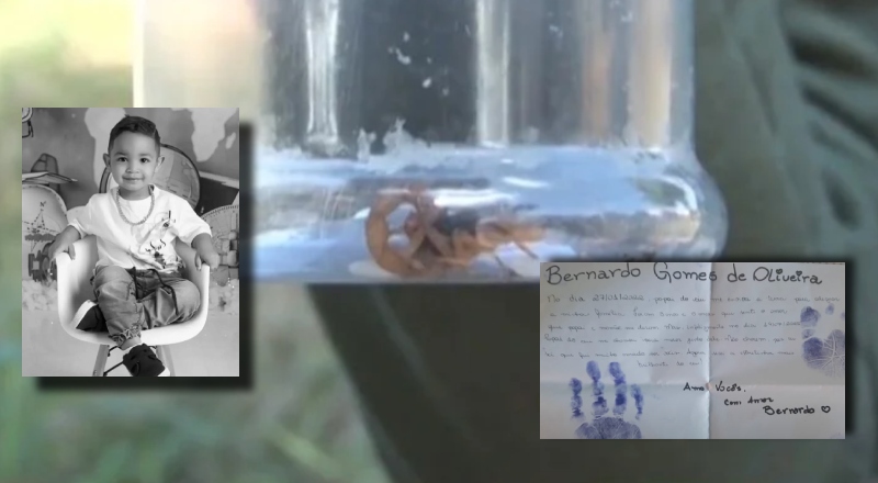 Tragédia: menino morre após 33 paradas cardíacas causadas por picada de escorpião