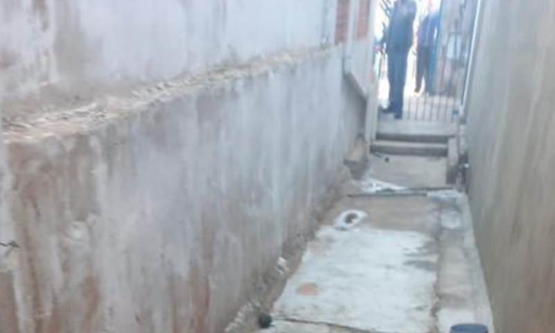 Desesperador: pitbull mata menina de 2 anos durante ataque de fúria; veja vídeo