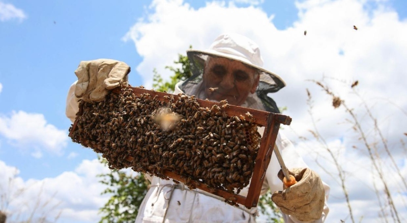 Tarifaço dos EUA ameaça o agro brasileiro, motor da economia nacional