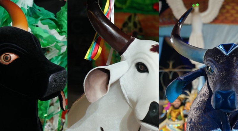 Batalha dos bois-bumbás marca a última noite do 67º Festival Folclórico do Amazonas