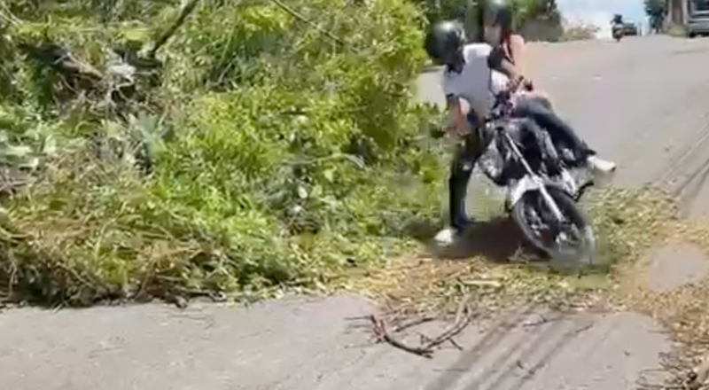 Árvore cai e interdita via no Parque Dez; casal sofre queda de moto durante transmissão ao vivo