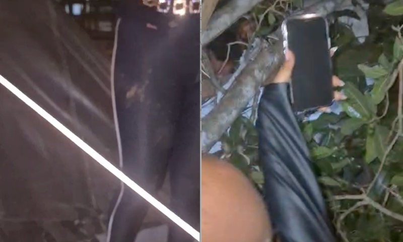 “E ela nem finalizou”: árvore destrói de ‘casa de massagem’ enquanto acompanhante fazia atendimento, no AM; veja vídeo