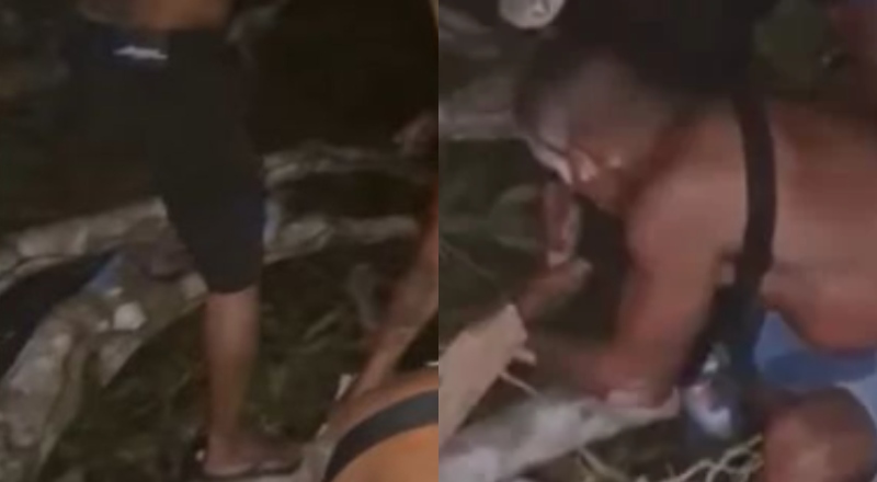 “No meio do atendimento da menina do job!”: árvore cai em cima de bordel e cliente é resgatado sem roupas, no AM; veja vídeo