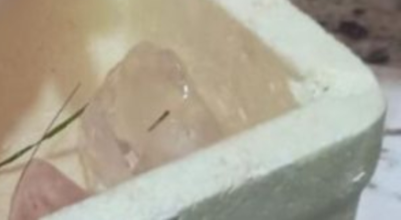 Homem tem mão decepada ao se envolver em briga de terçado, no interior do AM; veja