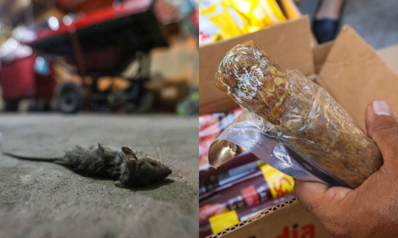 Ratos, baratas e alimentos vencidos: operação da prefeitura mira comércio clandestino no Centro de Manaus