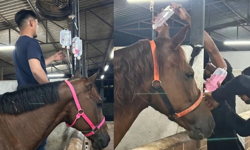 Nilton Lins afirma que seguiu todos os protocolos após tragédia com cavalos em Manaus e defende realização da Feira Agropecuária