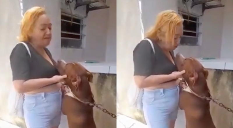 Vídeo mostra momento em que mulher tenta dar selinho em pitbull e acaba mordida nos lábios; veja