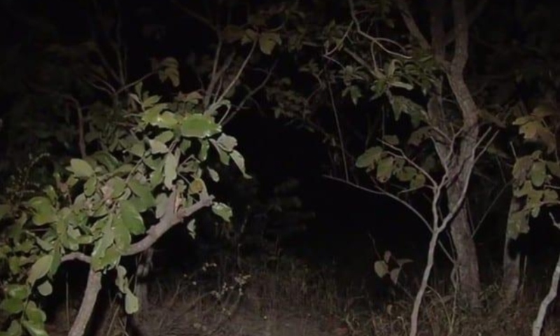 “Ele foi ticado”: legistas ficam chocados com corpo de jovem que foi assassinado por facção; veja vídeo