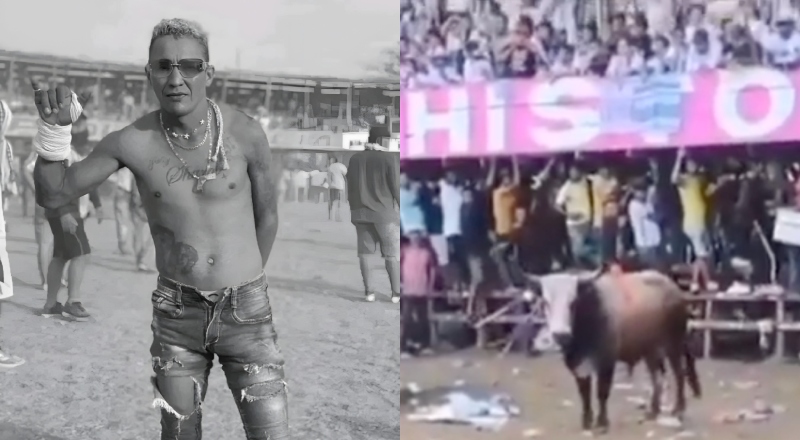 Vídeo chocante mostra momento em que homem morre após levar chifrada de touro durante festival; veja