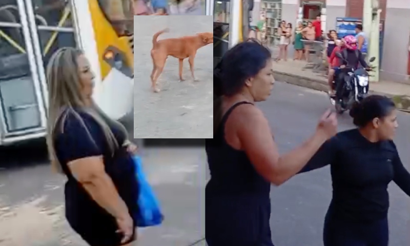 Pancadaria em dose dupla: ‘boazudas’ e ‘playboys’ se enfrentam no meio da rua na ZL de Manaus; veja vídeo