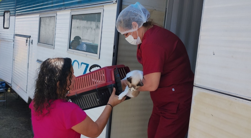 Castramóvel da prefeitura abre agendamento para cirurgias de cães e gatos no bairro Santa Etelvina