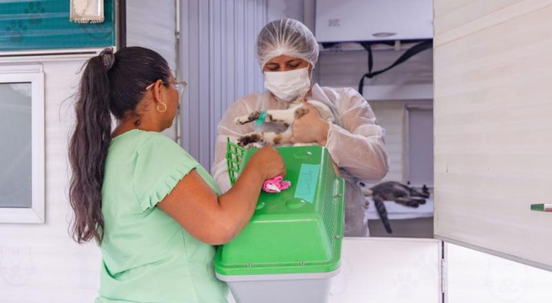 Castramóvel abre 320 vagas para castração gratuita de cães e gatos em Manaus; saiba como agendar