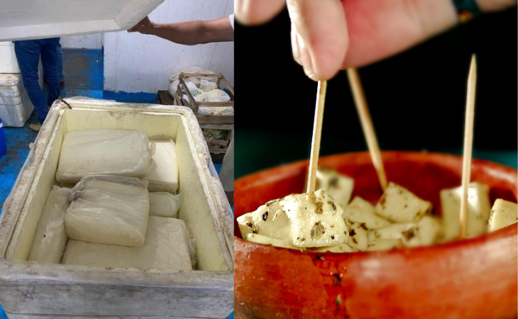 Fiscalização apreende mais de 300 quilos de queijo estragado em Parintins