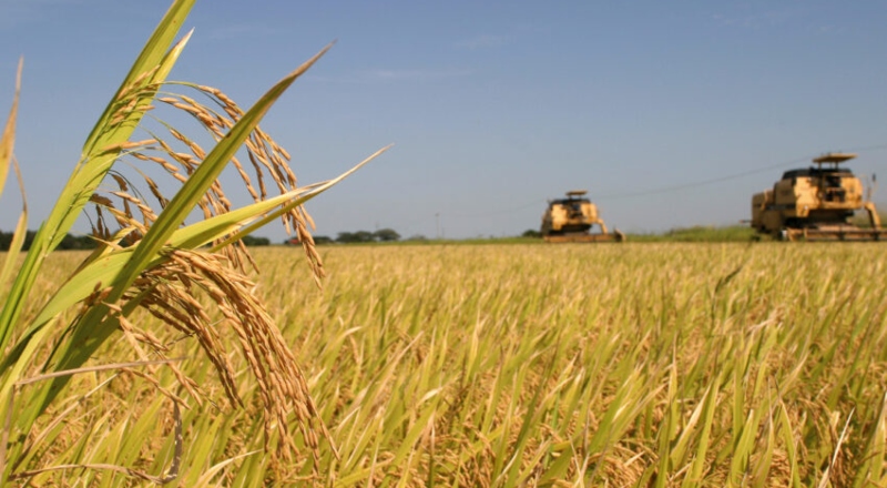 Brasil busca fortalecer comércio com México e Canadá para amenizar impactos do “tarifaço” de Trump