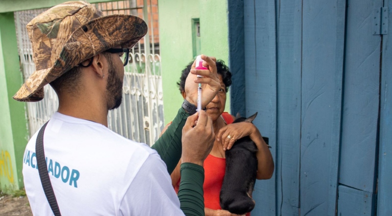 Prefeitura de Manaus seleciona profissionais para atuar na Campanha de Vacinação Antirrábica Animal 2025