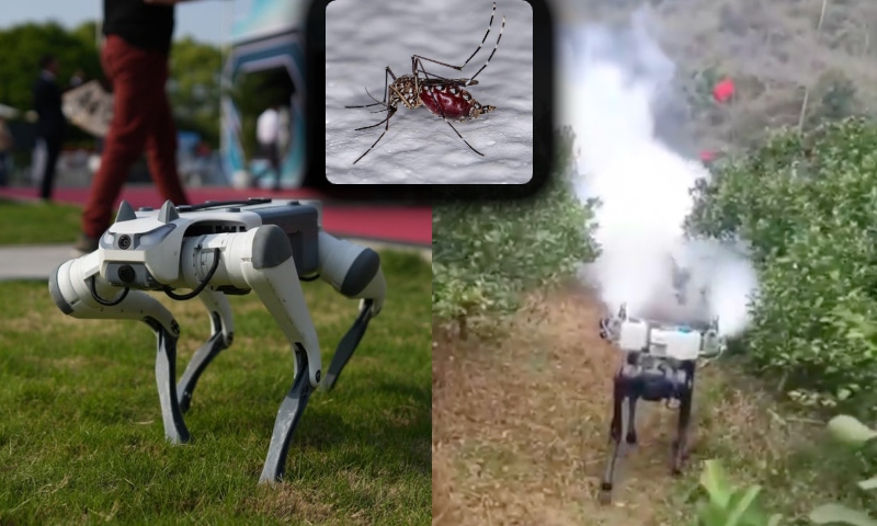 Cães-robôs serão utilizados para eliminar mosquitos em Hong Kong; veja vídeo