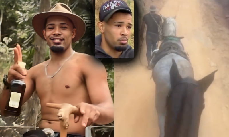 “Eu não sou um monstro”, diz jovem que cometeu barbaridade com cavalo; veja vídeo