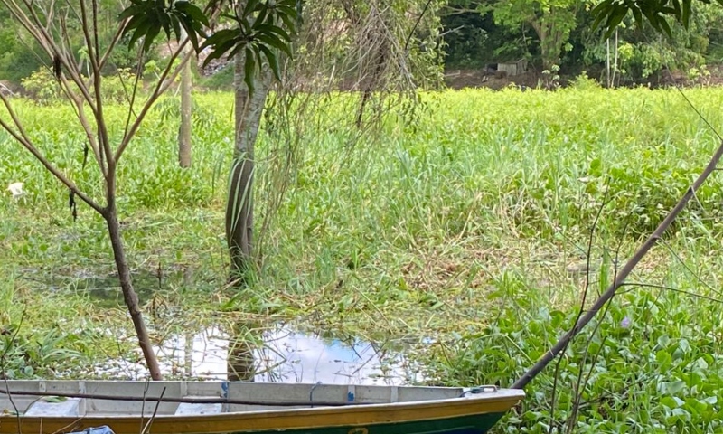 Urgente: corpo é encontrado boiando em igarapé no bairro Colônia Antônio Aleixo; veja vídeo