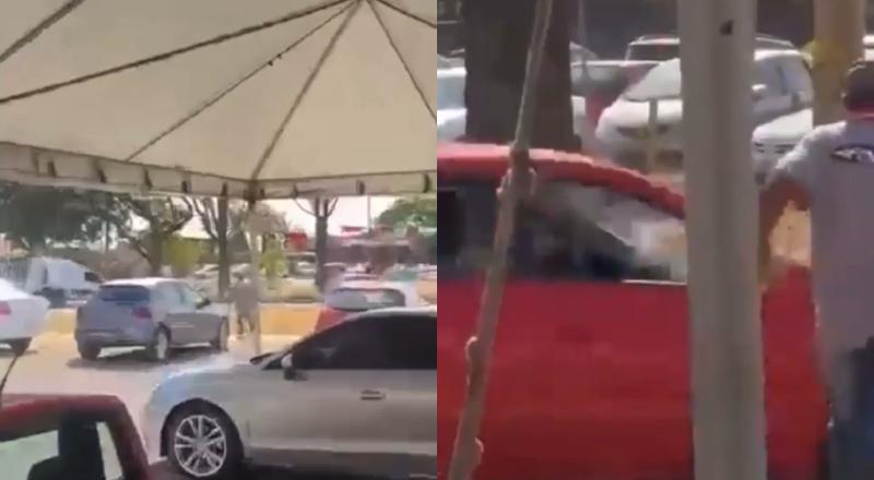 Desesperador: mulher é devorada por matilha de cães de rua; veja vídeo