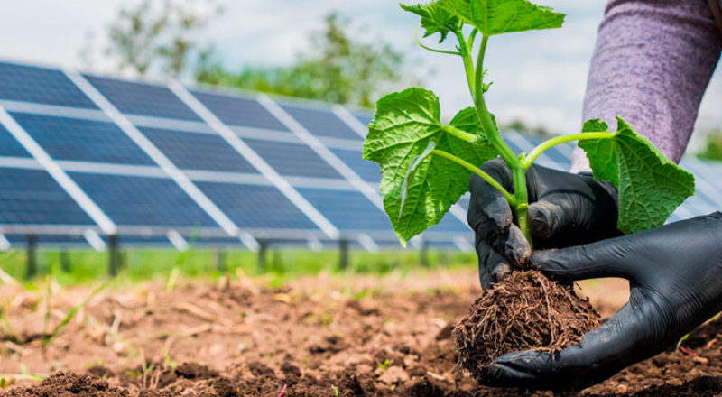 Câmara aprova projeto que facilita crédito para agricultor familiar investir em energia solar