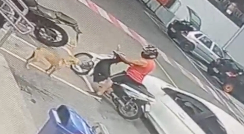 Homem que deu bicuda em cachorro em estacionamento de supermercado de Manaus segue foragido