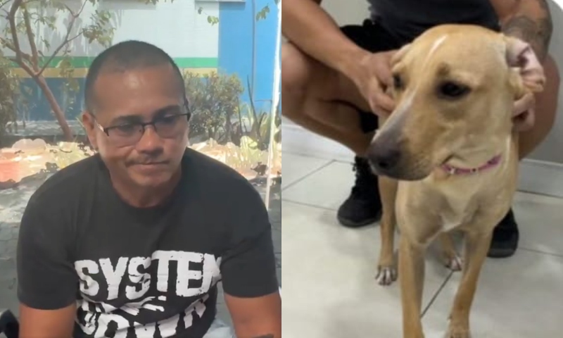 “Foi o cansaço e o estresse, eu amo os animais”, diz homem que gerou revolta em Manaus após dar ‘bicuda’ em cadela