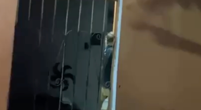 “Ele surtou”: homem sob efeito de droga é filmado agredindo a própria mãe no São Francisco; veja vídeo